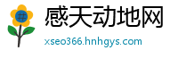 感天动地网