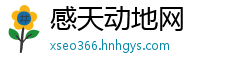 感天动地网